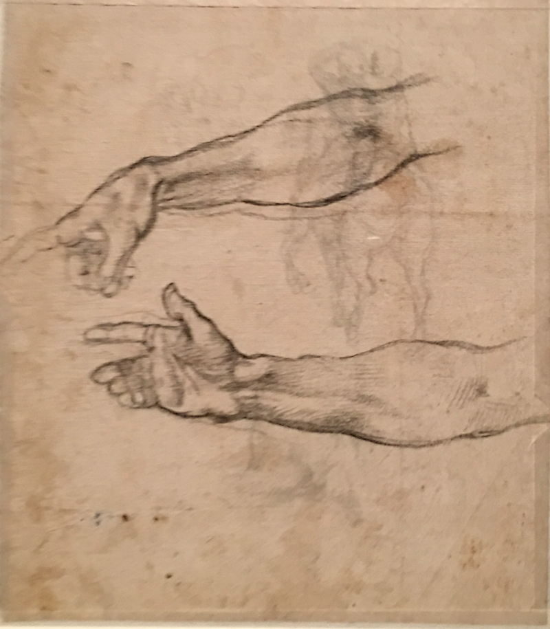 Michelangelo’s_arm_study