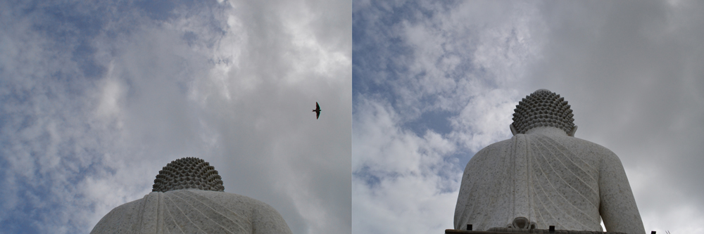 The Lone Raptor