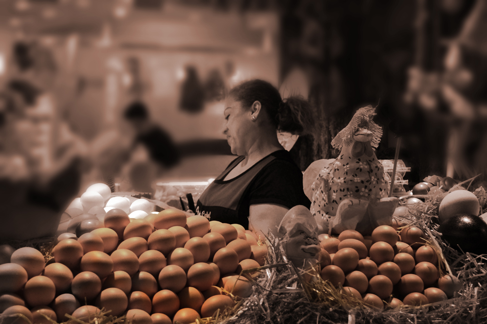 Egg Lady, Food for thought