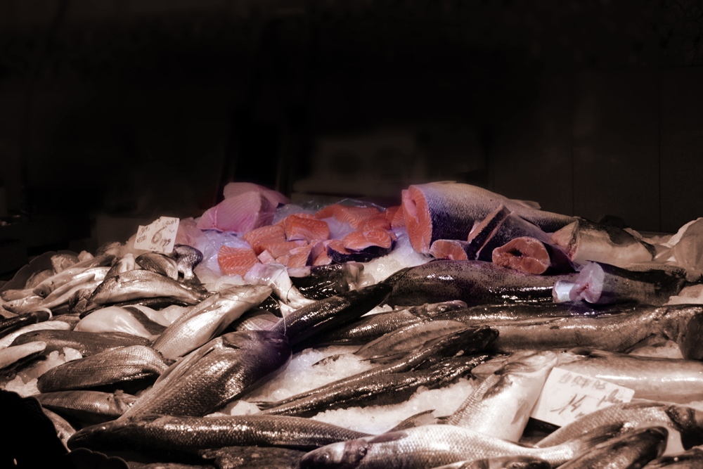Fish Market, Food for Thought