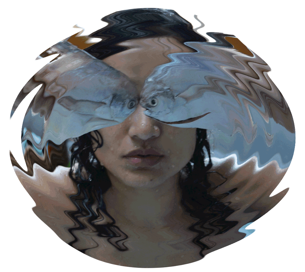 My Fish Bowl, digital animation