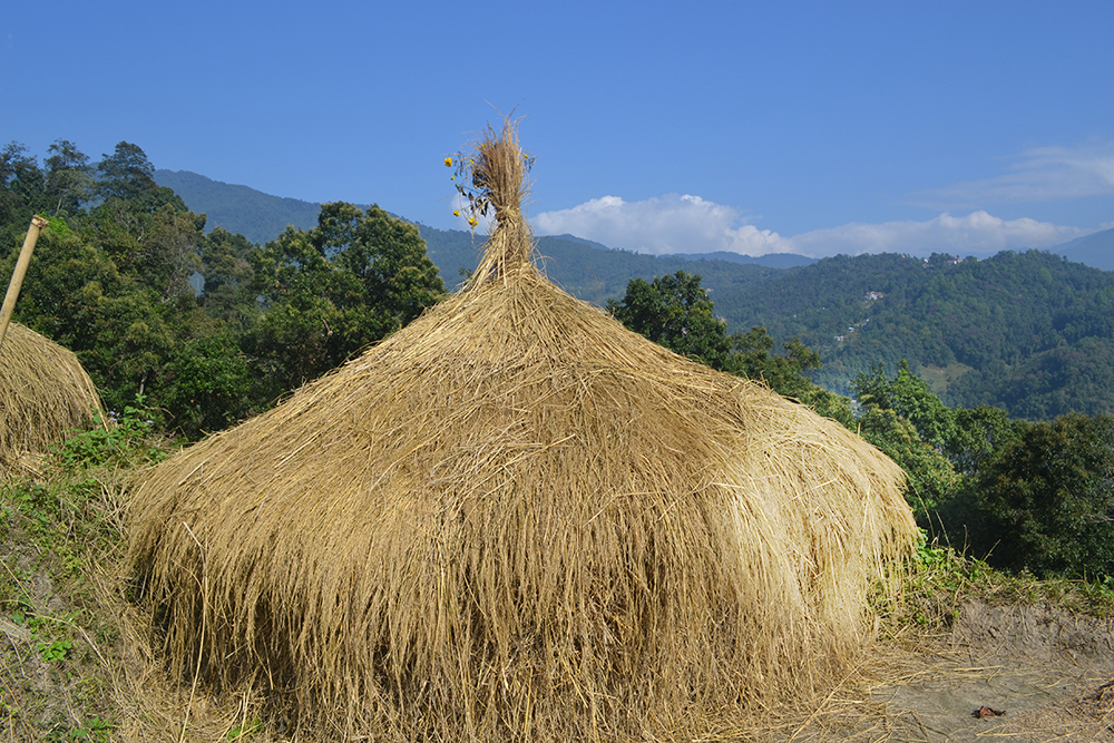 Primarily and agrarian community on the Himalayas