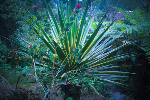 Natural Resources