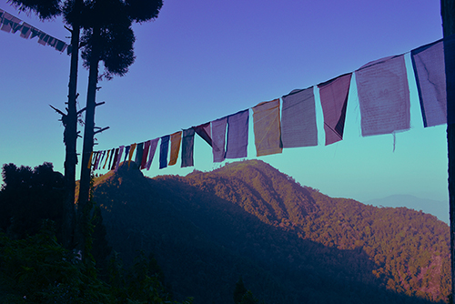 Prayer Flags, Power of the Local
