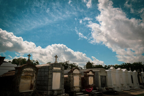 Birth Copulation and Death - 3 by Tania Sen